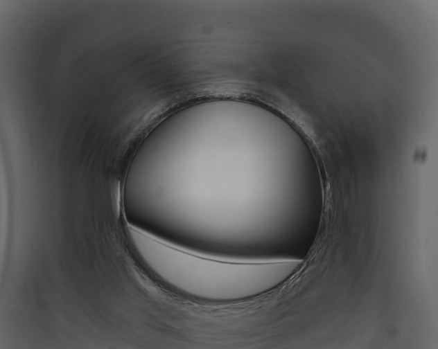 X0000090420013200707130956