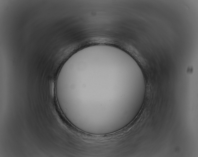 X0000090420014200707130956