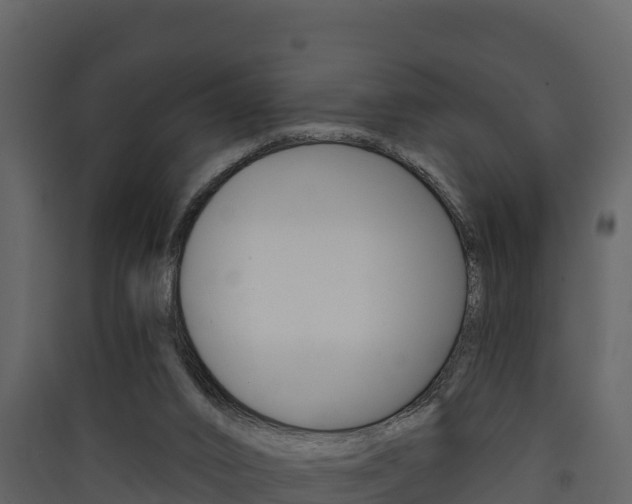 X0000090420016200707130956