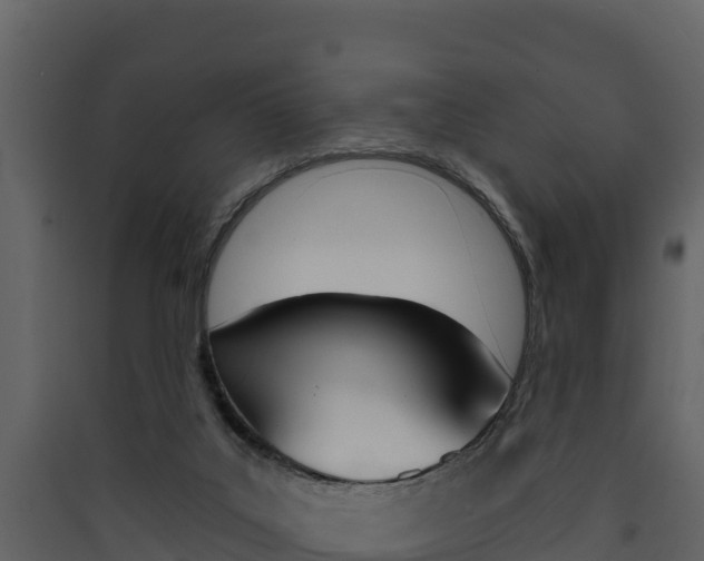 X0000090420019200707130956