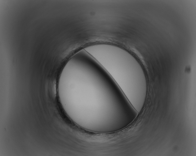X0000090420020200707130956