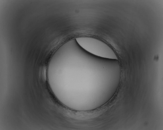 X0000090420022200707130956