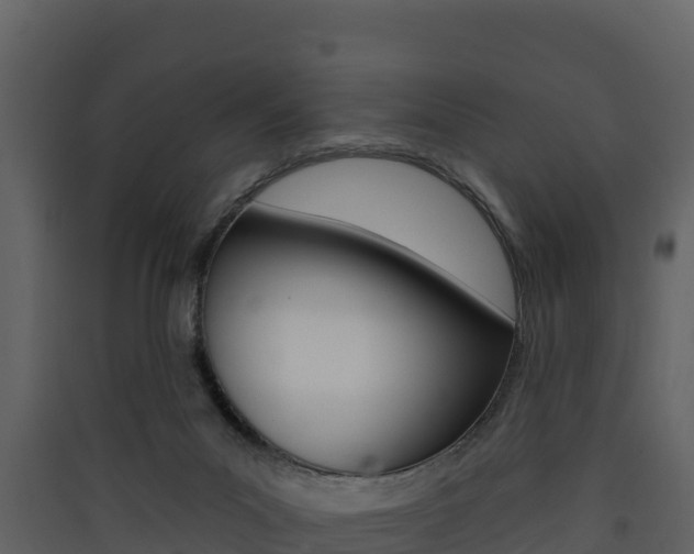 X0000090420023200707130956