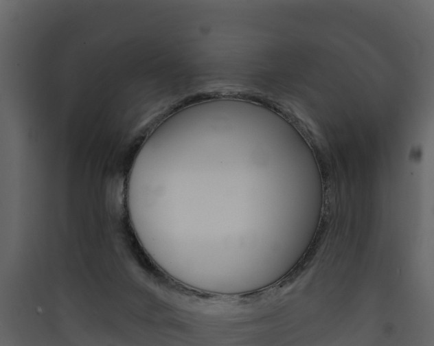 X0000090420024200707130956