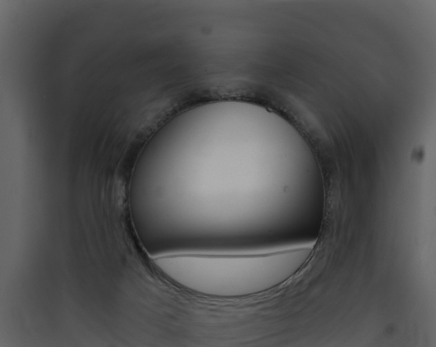 X0000090420025200707130956