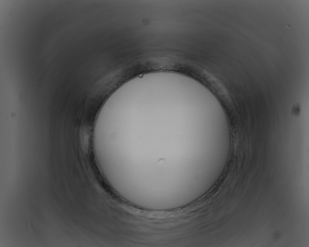 X0000090420026200707130956
