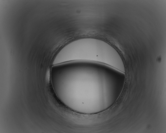 X0000090420027200707130956