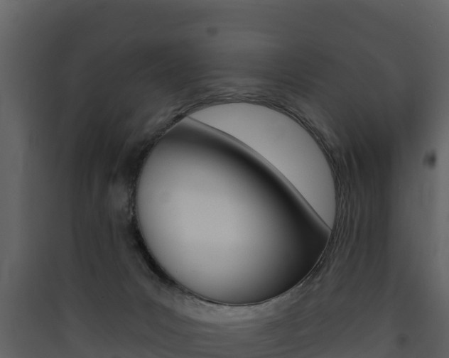 X0000090420031200707130956