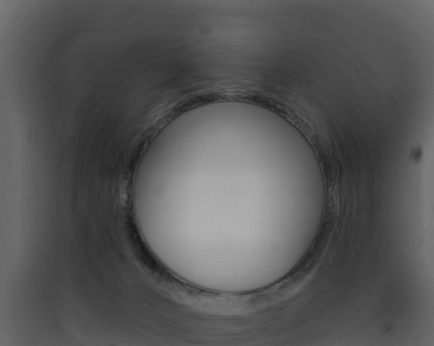 X0000090420032200707130956
