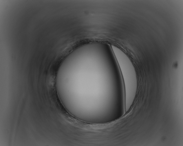 X0000090420033200707130956