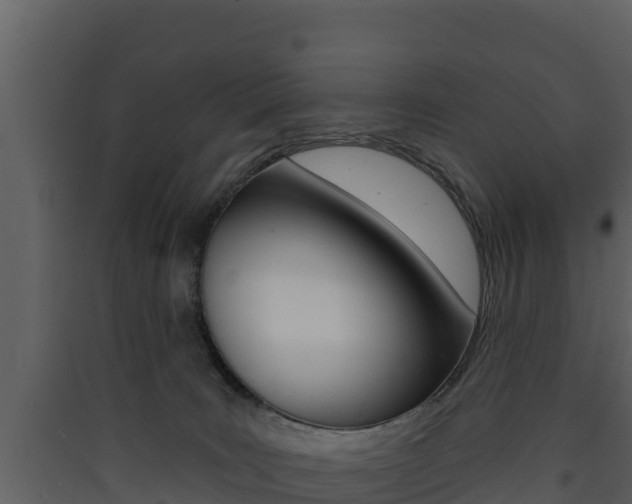 X0000090420035200707130956