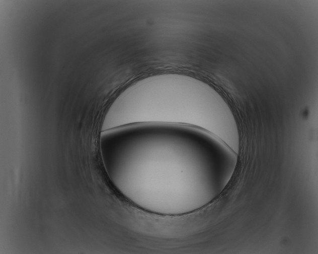 X0000090420039200707130956