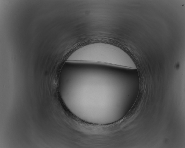 X0000090420040200707130956