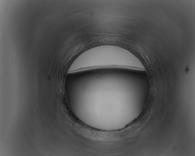 X0000090420044200707130956