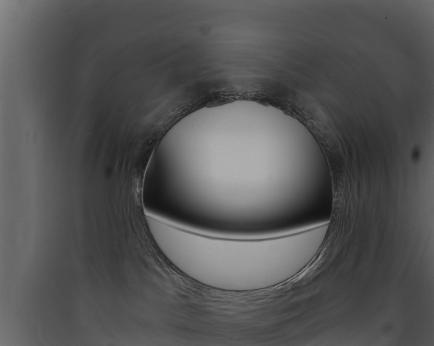 X0000090420045200707130956