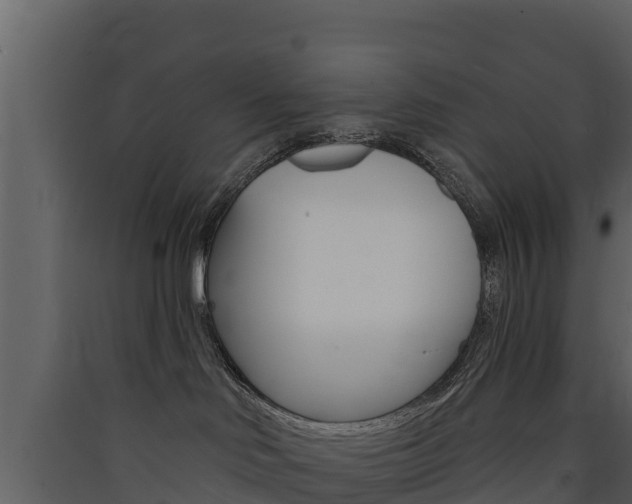 X0000090420046200707130956