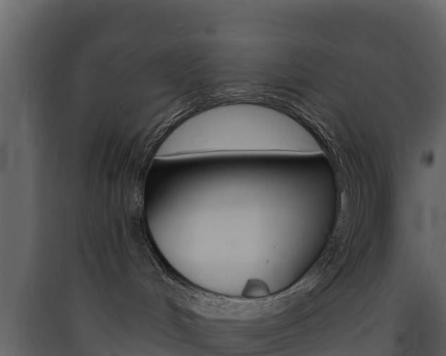 X0000090420048200707130956