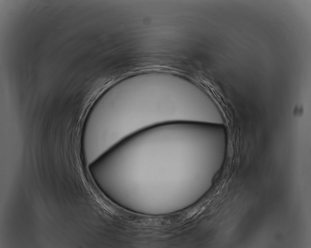 X0000090420049200707130955