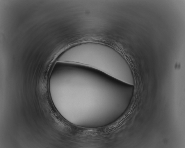 X0000090420050200707130955