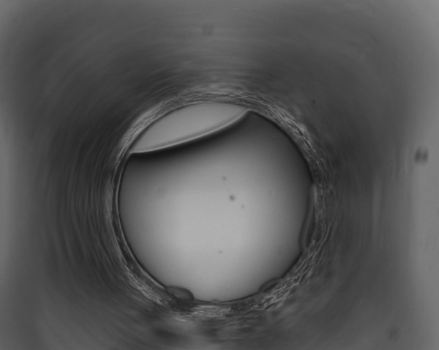 X0000090420051200707130955