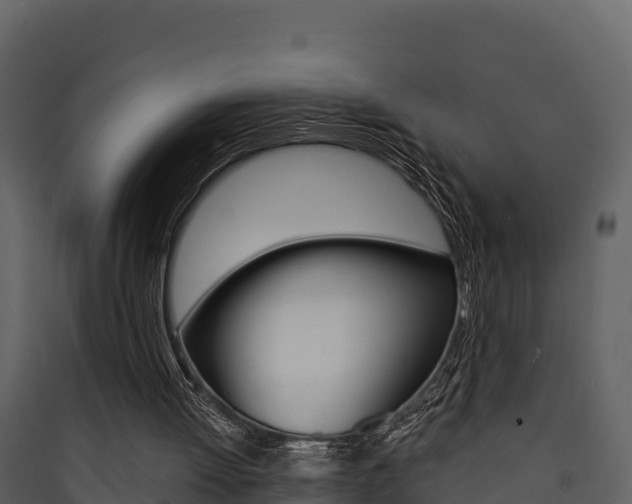 X0000090420052200707130955