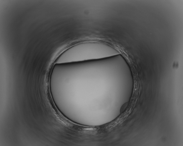 X0000090420053200707130955