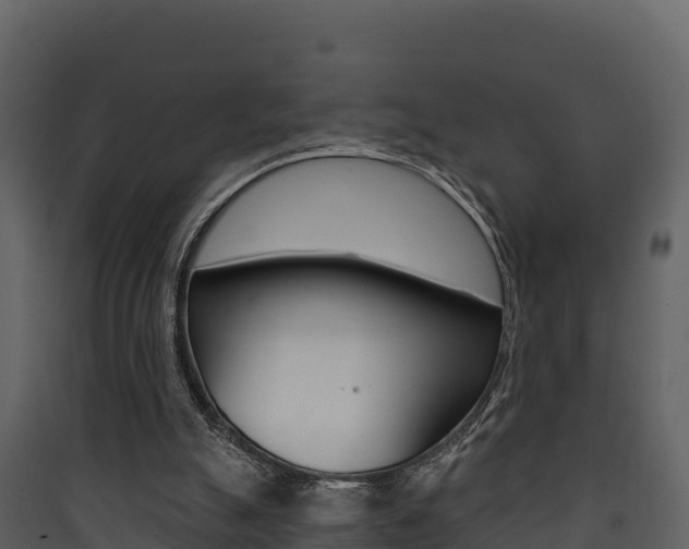X0000090420055200707130955