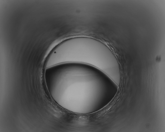 X0000090420056200707130955