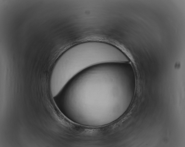 X0000090420057200707130955