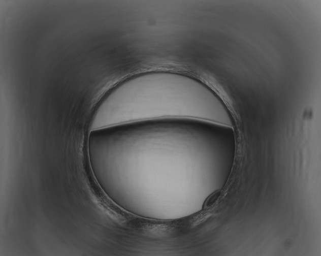 X0000090420058200707130955