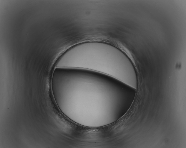 X0000090420059200707130955