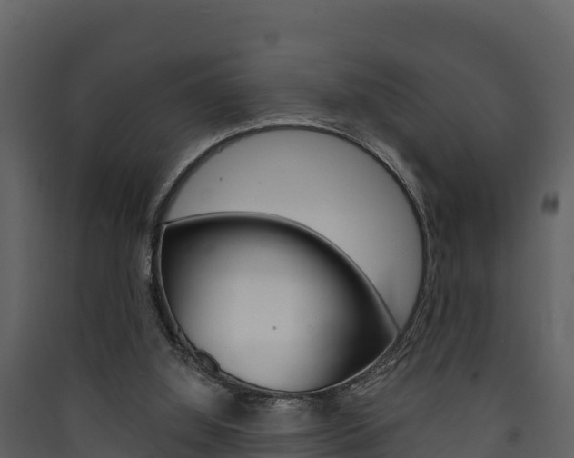 X0000090420060200707130955