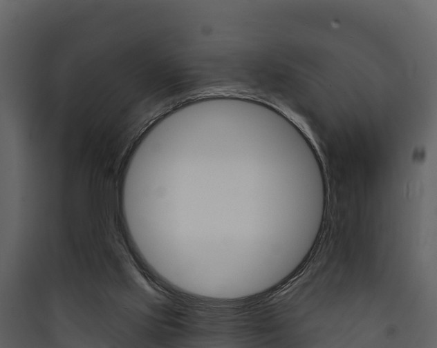 X0000090420061200707130955