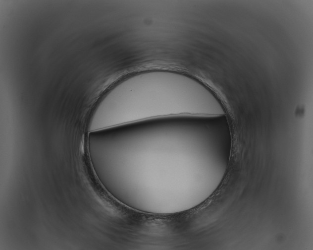 X0000090420062200707130955