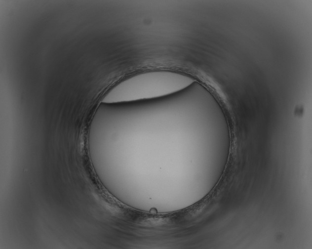 X0000090420065200707130955
