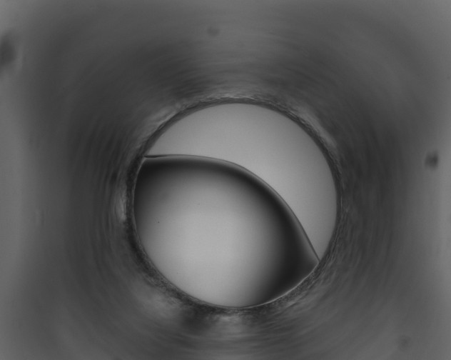X0000090420068200707130955