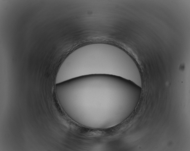X0000090420069200707130955