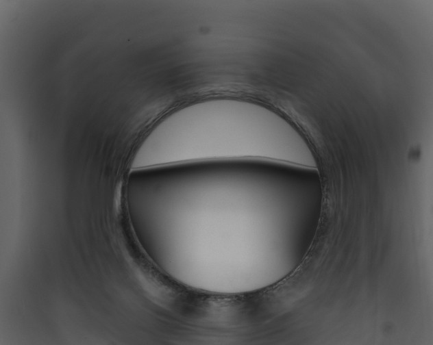 X0000090420070200707130955