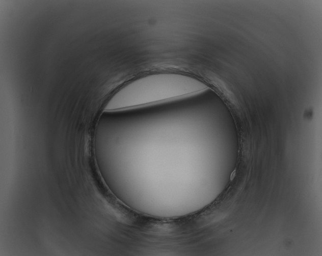 X0000090420071200707130955