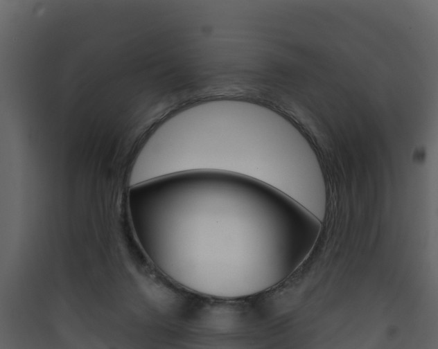X0000090420072200707130955