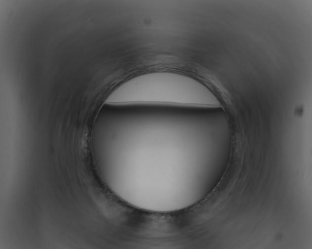 X0000090420073200707130955