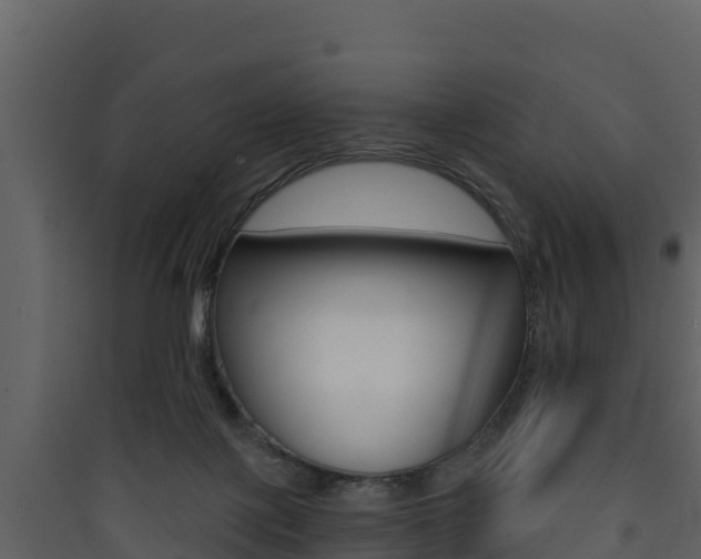 X0000090420075200707130955