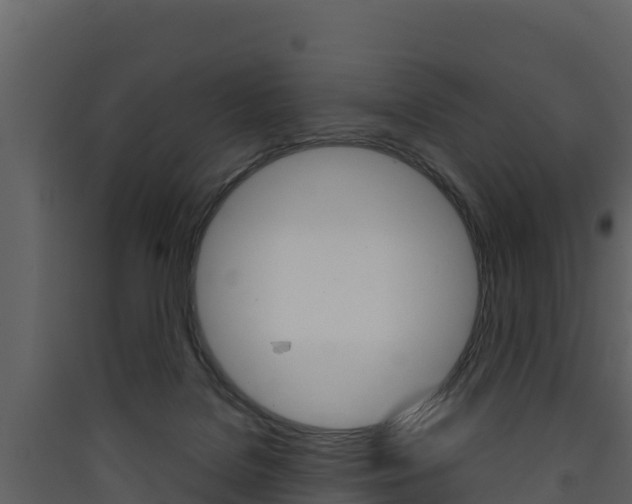 X0000090420076200707130955