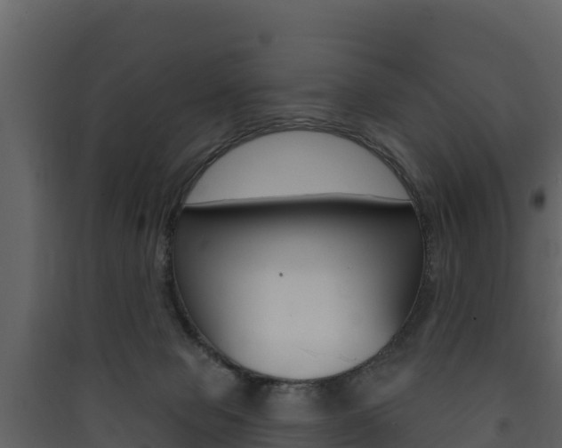 X0000090420077200707130955