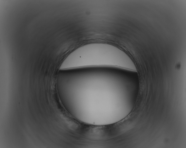 X0000090420078200707130955