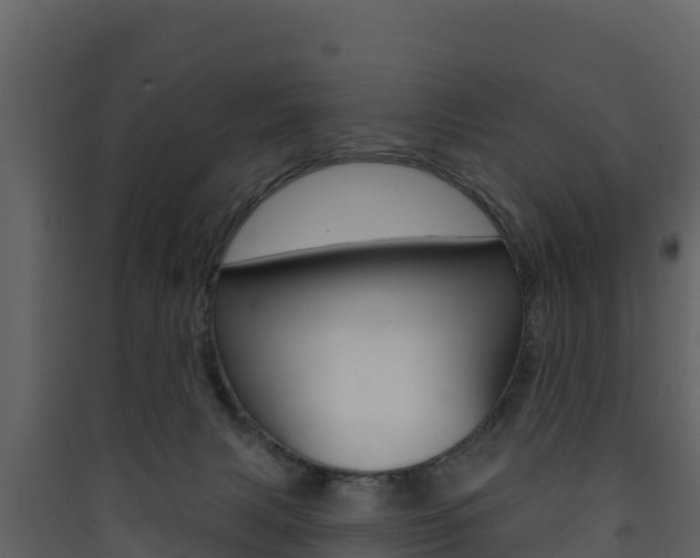 X0000090420079200707130955