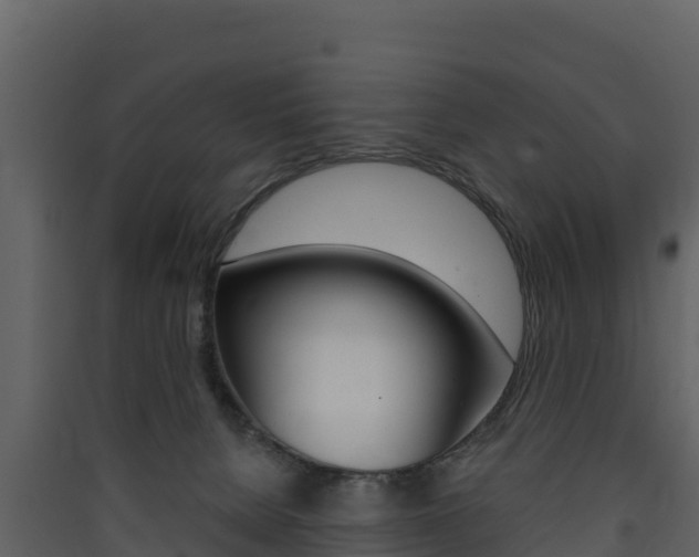 X0000090420080200707130955