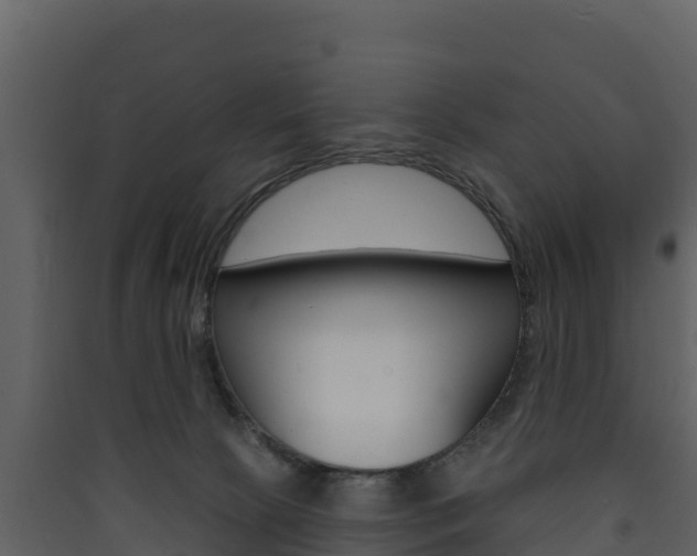 X0000090420081200707130955