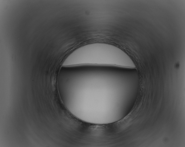 X0000090420082200707130955