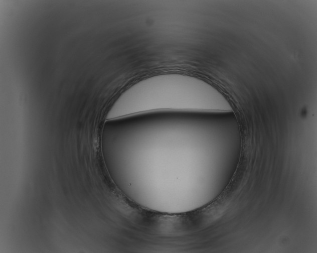 X0000090420085200707130955